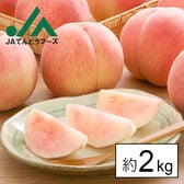 【予約受付】7/20~順次出荷【約2kg】山形県産白桃(品種・玉数おまかせ)※ご家庭用