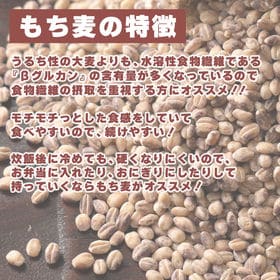【100kg(20kg×5袋)】国産もち麦(ダイシモチ)【業務用サイズ】