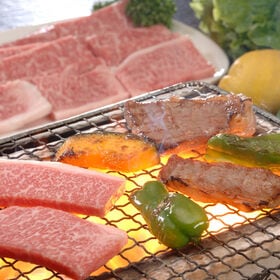 【500g】鹿児島黒牛 肩ロース焼肉用 | 鹿児島黒牛の程よい食感と濃厚な味が特徴の肩ロースをぜひ焼肉で!!
