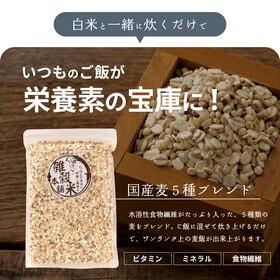 【450g(450g×1袋)】国産麦5種 (雑穀米・チャック付き)
