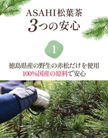 【2g×50包/計100g】朝日《国産》松の葉茶 無農薬 ティーバッグノンカフェイン