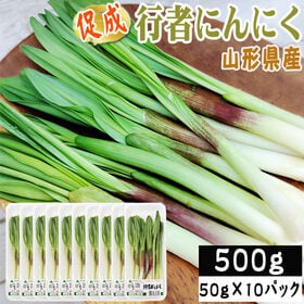 【500g】山形県産 促成山菜 行者にんにく 50g×10パック(クール便) | シャキシャキの食感と香りが食欲そそる！ 一度食べたらクセになる！醤油漬けや炒め物に合う！