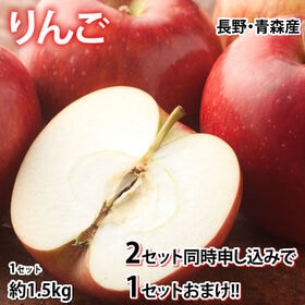 【予約受付】3/17~順次出荷【約1.5kg】りんご《個数・品種おまかせ》(ご家庭用・傷あり)