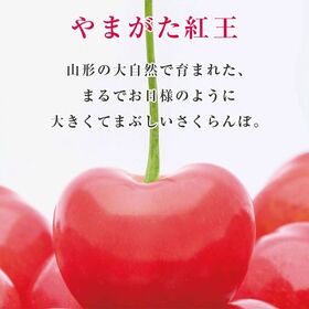 【予約受付】6/25~順次出荷【2Lサイズ/24粒】新品種 さくらんぼ[やまがた紅王]