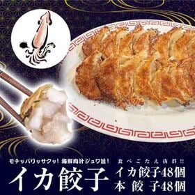 【2種/96個】美食点心ぎょうざ館　イカ餃子48個（ニンニク無し）/本餃子48個