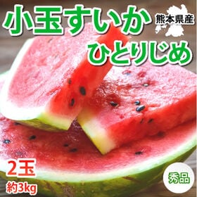 【予約受付】6/3~順次出荷【2玉 約3kg】熊本県産 小玉すいか 秀品 | シャキシャキとした食感！スイカと言えば熊本