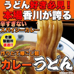 【180g×4袋】天然生活 レンジで簡単！辛すぎないスパイシーなカレーうどん | 本場香川のさぬきうどんです！！やみつき、つるつる麺に絡む程よいカレースープ付（粉末）です。