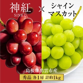 【予約受付】7/11~順次出荷【秀品 約1.0kg(2房)】島根県出雲市産 神紅&シャインマスカット | 20度以上の高糖度の「神紅」とシャインマスカットの高級コラボ
