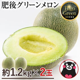 【2玉（2Lサイズ約1.2kg以上）】熊本県産 秀品 肥後グリーンメロン | 少人数のご家庭や、ギフトにもおすすめな！