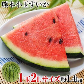 【1玉1.4kg以上】熊本県産小玉すいか（ご家庭用） | 少人数のご家庭や、お中元にもおすすめ！